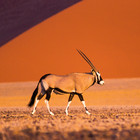 namibie3